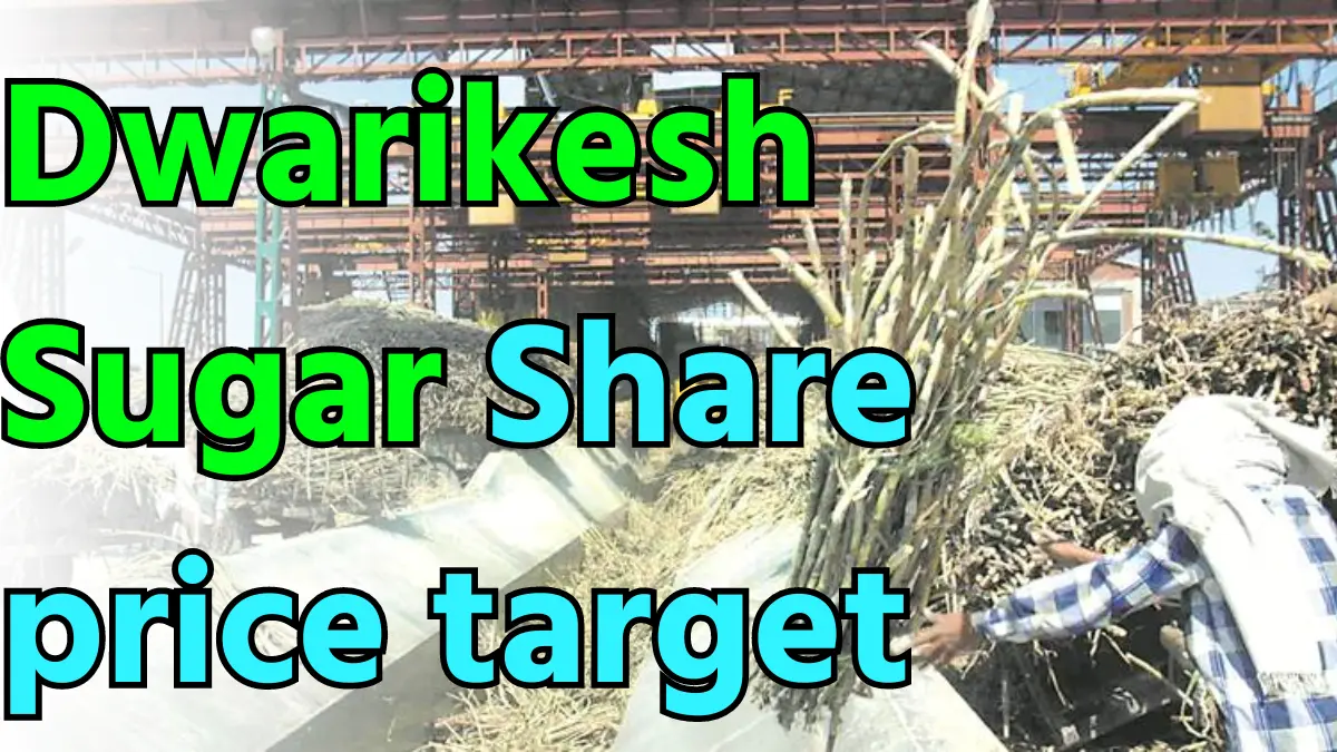 Dwarikesh Sugar Share price target